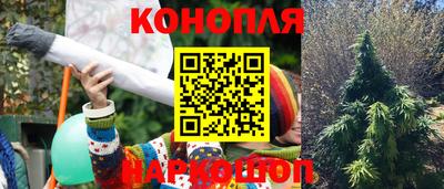 прущие грибы Ликино-Дулёво