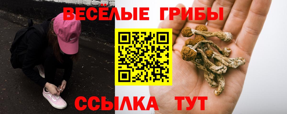 Псилоцибиновые грибы MAGIC MUSHROOMS  Псилоцибиновые грибы мицелий  Вход с VPN  Гуково 